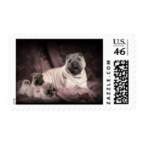 Vintage Chinese Shar Pei Wrinkles, Puppy Dogs Postage