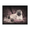 Vintage Chinese Shar Pei Wrinkles, Puppy Dogs postcards by KahunaLuna Vintage Chinese Shar Pei Wrinkles, Puppy Dogs postcards