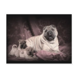 Vintage Chinese Shar Pei Wrinkles, Puppy Dogs postcards