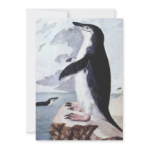 Vintage Chinstrap Penguin in Antarctica Personalized Announcement