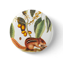 Vintage Chipmunk Illustration buttons by mosswood Vintage Chipmunk Illustration buttons