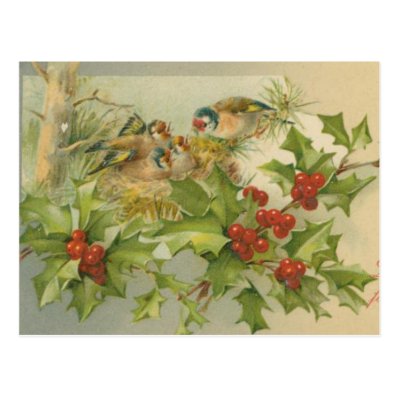 Vintage Christmas Birds Nest Post Card