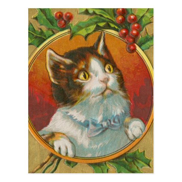Vintage Christmas Cat Postcard