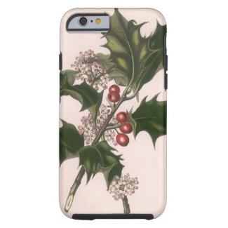Vintage Christmas, Holly and Berries iPhone 6 Case