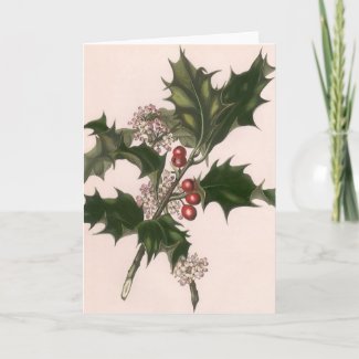 Vintage Christmas, Holly Branch with Red Berries Cards
