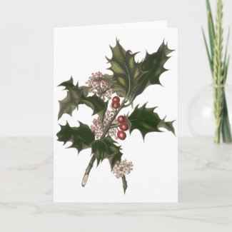 Vintage Christmas Holly Plant with Red Berries Card