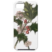 Vintage Christmas Holly Plant with Red Berries iPhone 5 Covers