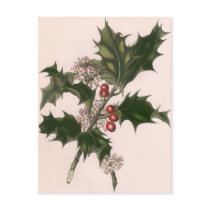 Vintage Christmas Holly with Red Berries Postcards