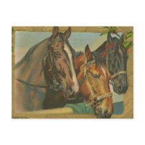 Vintage Christmas Horses Postcards