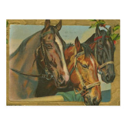 Vintage Christmas Horses Postcard