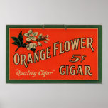Vintage Cigar Advertisement: Orange Flower Print