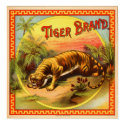 Vintage Cigar Advertisement: Tiger Brand posters by ClassicMasters Vintage Cigar Advertisement: Tiger Brand posters