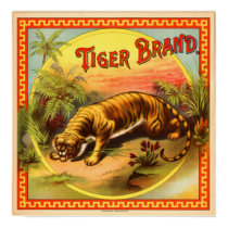 Vintage Cigar Advertisement: Tiger Brand posters