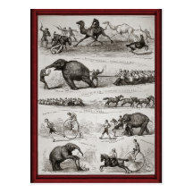 Vintage Circus animals and penny farthings Post Cards