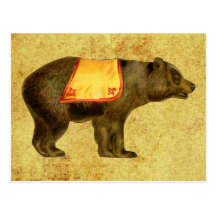 vintage circus bear postcards