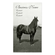 Vintage Civil War Union Horse Business Cards