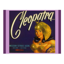 Vintage Cleopatra Produce Crate Labeling Postcards postcards