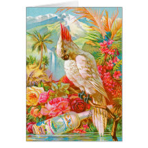 Vintage Cockatoo Greeting Card