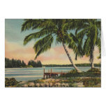 Vintage coconut palms card