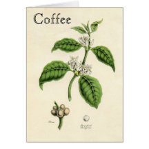 Vintage Coffee Plant Greeting Card