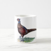Vintage Colorful Pheasant Mug