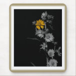 vintage, flower, black and white, compass flower,