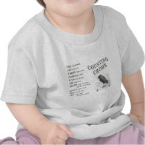 Vintage Counting Crow Rhyme Child shirt