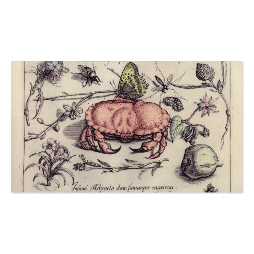Vintage Crab, Botanicals, Insects, and Flowers Business Card Templates (back side)
