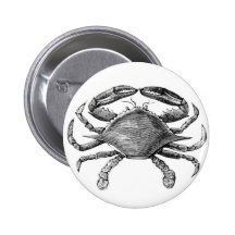 Vintage Crab Drawing Button