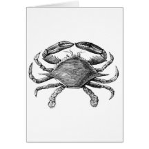Vintage Crab Drawing Cards