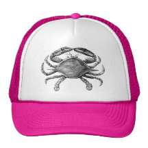 Vintage Crab Drawing Hat