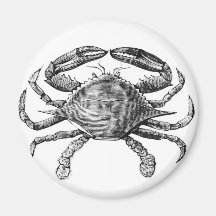 Vintage Crab Drawing Magnets