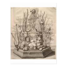 Vintage Creepy Skeletons, Skulls and Trees Postcards