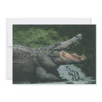 Vintage Crocodile Custom Announcements