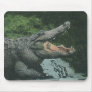 Vintage Crocodile Mousepads