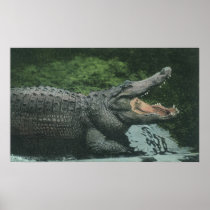 Vintage Crocodile Poster