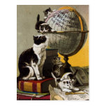 Vintage Cute Cats Kittens School Post Card