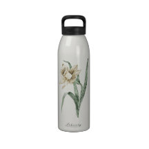 Vintage Daffodil Water Bottle