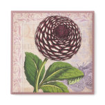 Vintage Dahlia Botanical Collage Damask Background Fridge Magnets