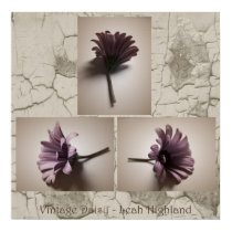 vintage daisy posters by leahhighland vintage daisy posters