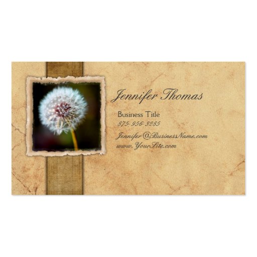 Vintage Dandelion Flower Business Card (front side)