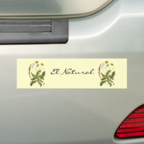 Vintage Dandelion Illustration bumper stickers