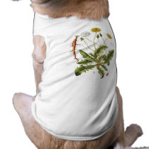 Vintage Dandelion Illustration pet clothing by samack Vintage Dandelion Illustration pet clothing