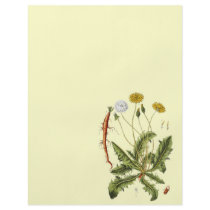 Vintage Dandelion Illustration Flyer Design