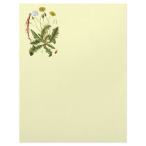 Vintage Dandelion Illustration letterhead by samack Vintage Dandelion Illustration letterhead