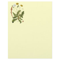 Vintage Dandelion Illustration Customized Letterhead