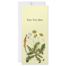 Vintage Dandelion Illustration rack cards by samack Vintage Dandelion Illustration rack cards
