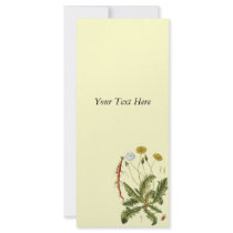 Vintage Dandelion Illustration rack cards