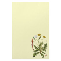 Vintage Dandelion Illustration stationery by samack Vintage Dandelion Illustration stationery