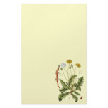 Vintage Dandelion Illustration stationery